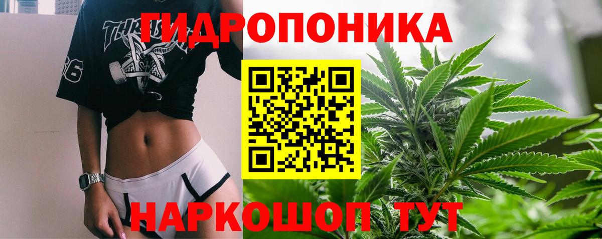 Орёл  Конопля семена  МАРИХУАНА тримм  Бошки Шишки марихуана  Вход с VPN  Бошки Шишки Ganja 